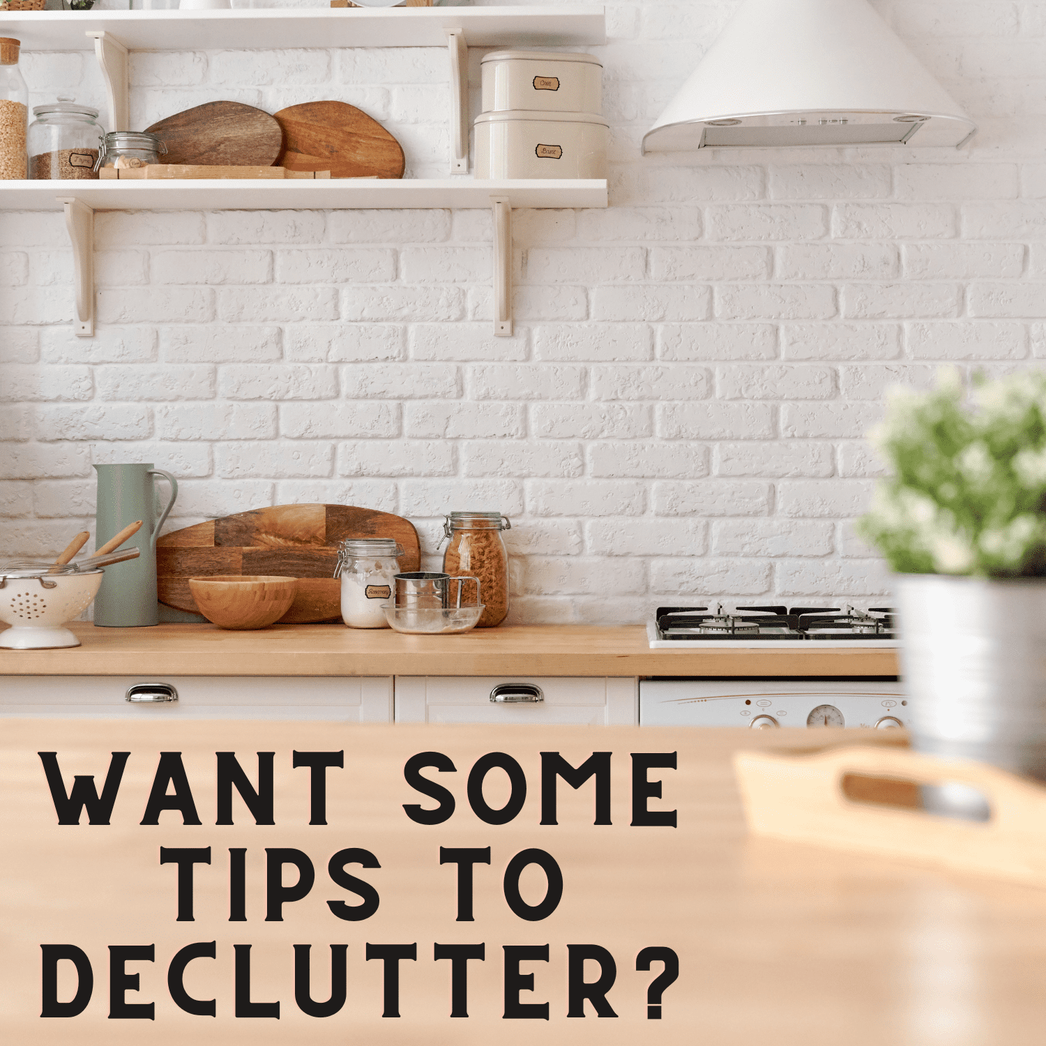 Declutter_tips_in_clean_kitchen_with_plants